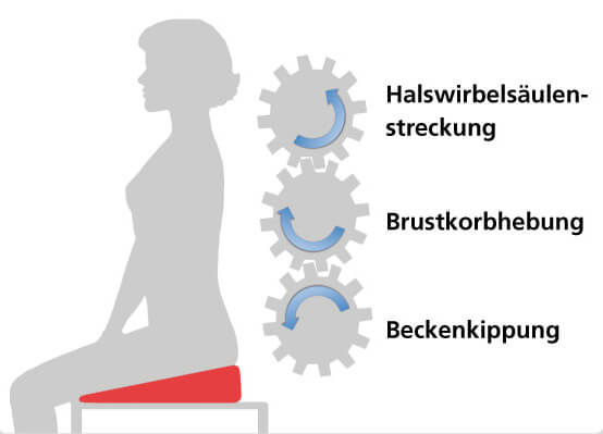 Keilkissen - entlastend für den Rücken - Trimilin Trampolin