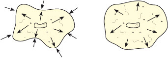 Training for each cell